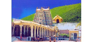 102. திருமாலிருஞ்சோலை (கள்ளழகர் கோயில்)